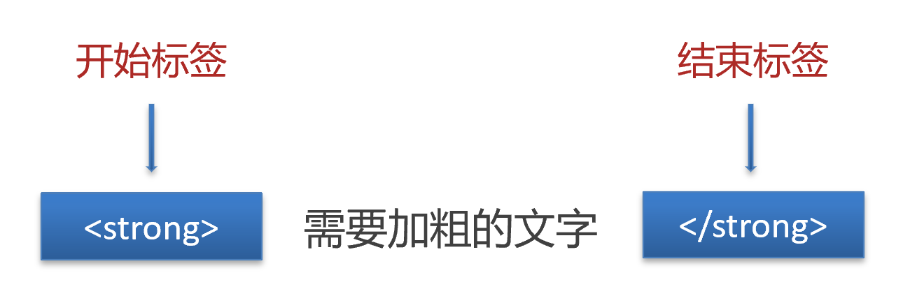 标签结构示意