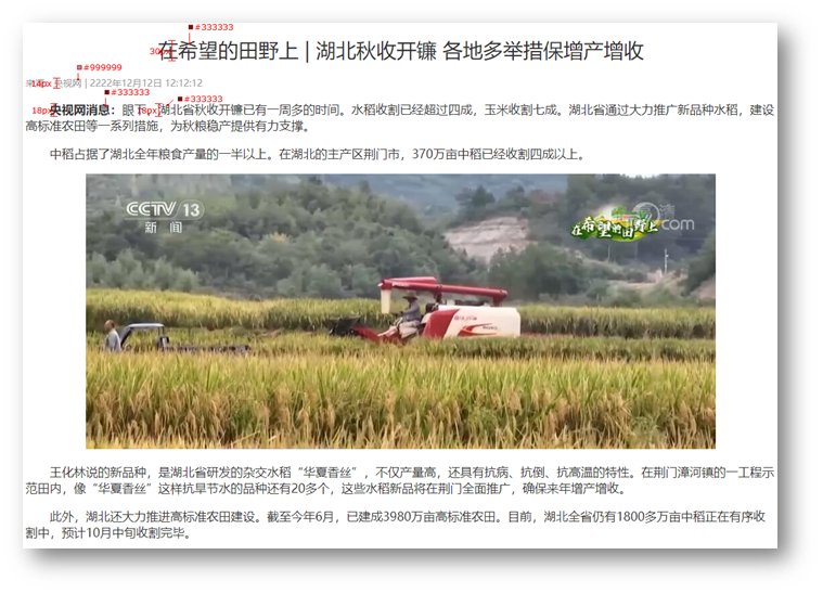 新闻详情页面效果图